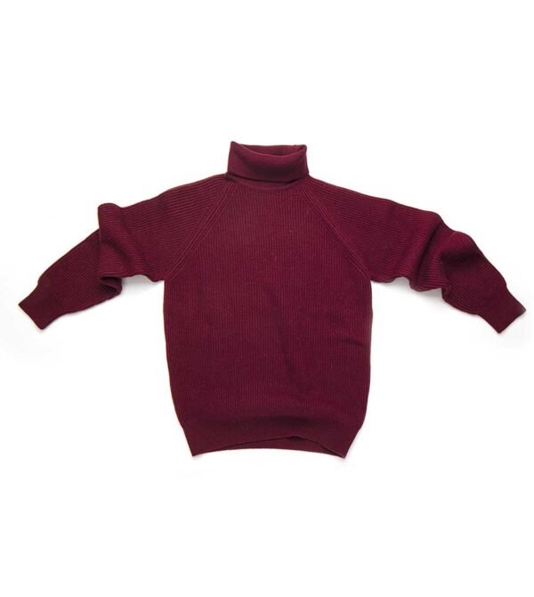 super geelong lambswool turtleneck - Image 3