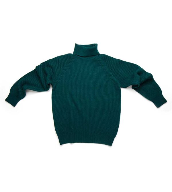 super geelong lambswool turtleneck - Image 3