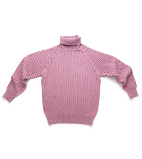 super geelong lambswool turtleneck - Image 3